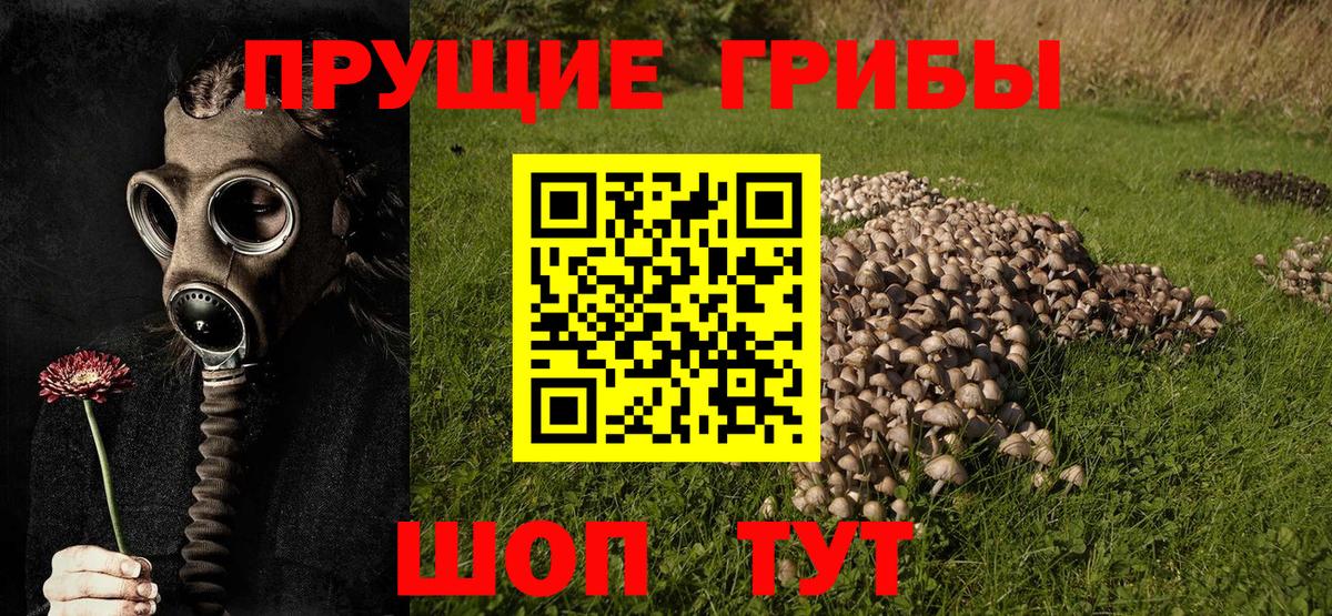 Галлюциногенные грибы GOLDEN TEACHER Одинцово